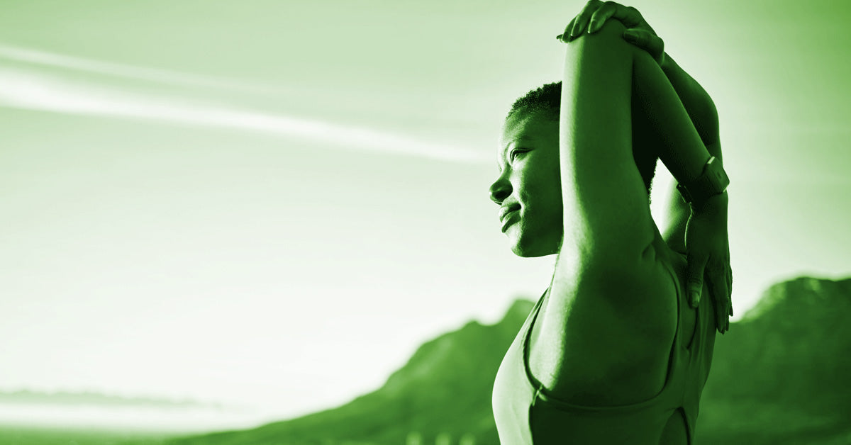 What Is the Endocannabinoid System? A Plain-Language Guide