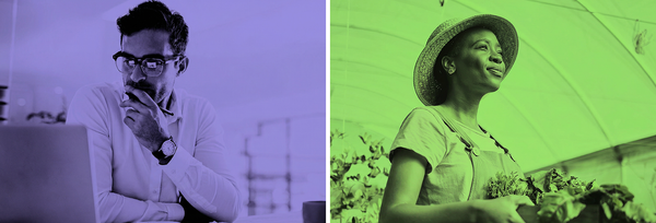 CBG vs CBD: How They Compare and What to Expect
