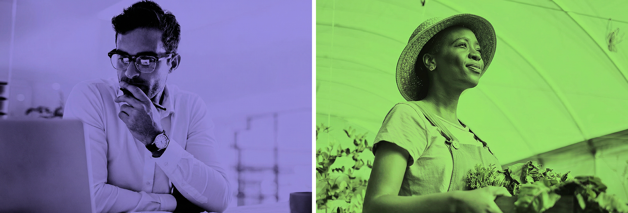 CBG vs CBD: How They Compare and What to Expect