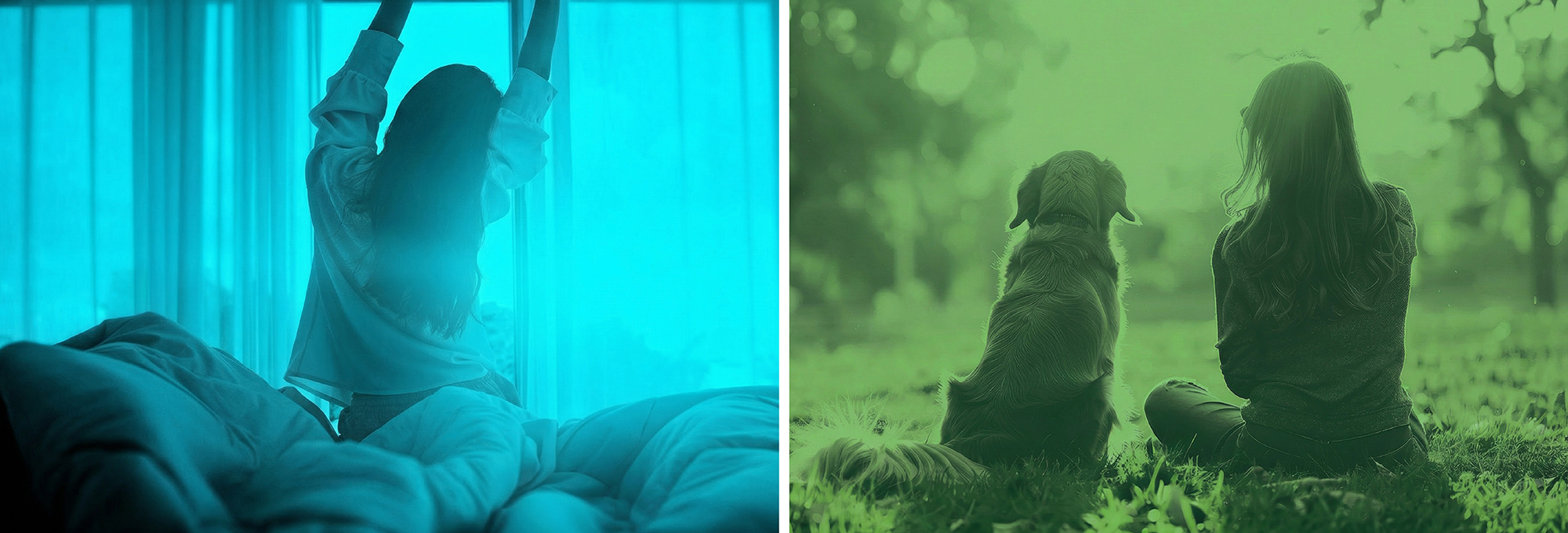 CBN vs CBD: What’s the Difference and Which Is Right for You?